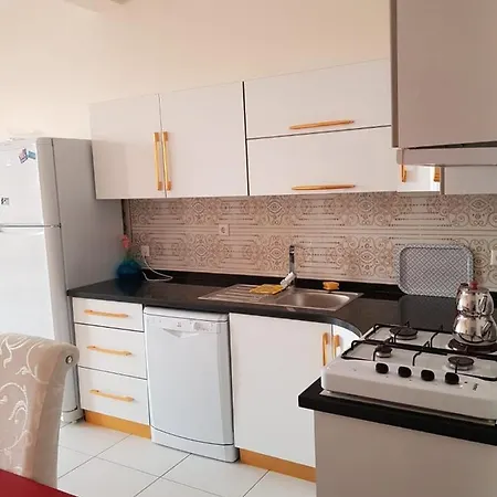 Ege Yildizi Sitesi 아파트 *