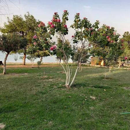 Ege Yildizi Sitesi 디딤